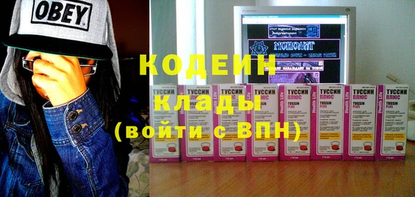 прущая мука Ельня