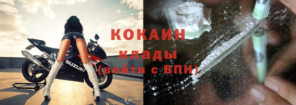 прущая мука Ельня
